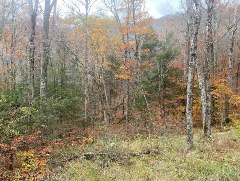 114 Alpena Gap Road Bowden WV 26254