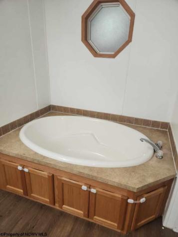 104 Silver Maple Lane Buckhannon WV 26201-0000