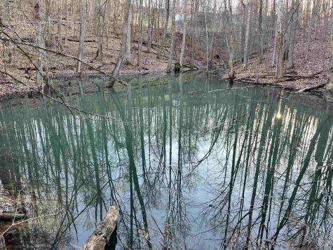 104 Silver Maple Lane Buckhannon WV 26201-0000