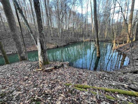 104 Silver Maple Lane Buckhannon WV 26201-0000