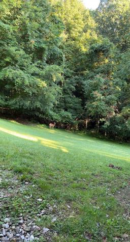 104 Silver Maple Lane Buckhannon WV 26201-0000