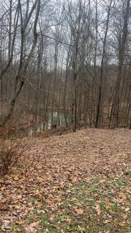 104 Silver Maple Lane Buckhannon WV 26201-0000