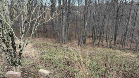 1671 Bear Run Road Philippi WV 26416