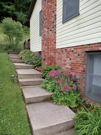 344 Harpertown Road Elkins WV 26241