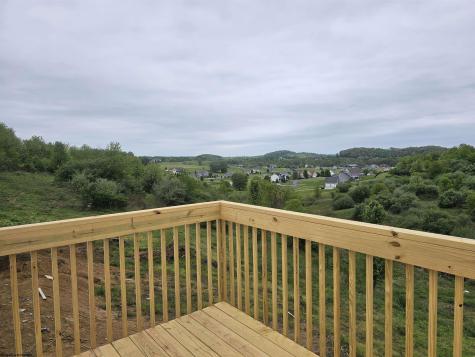 891 Auburn Lane Flemington WV 26347