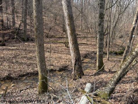 16 Mountain Aire Boulevard Elkins WV 26241
