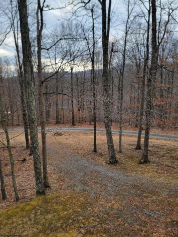 380 Flint Road Hillsboro WV 24946