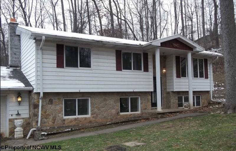 134 Turkey Run Road Grafton WV 26354-836