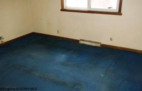 134 Turkey Run Road Grafton WV 26354-836