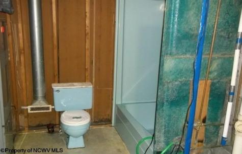 134 Turkey Run Road Grafton WV 26354-836