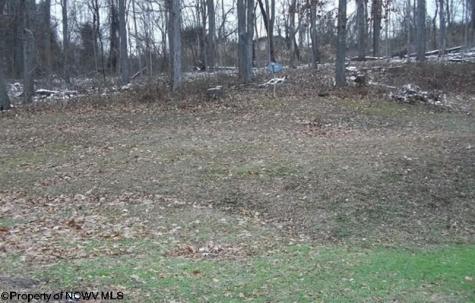 134 Turkey Run Road Grafton WV 26354-836