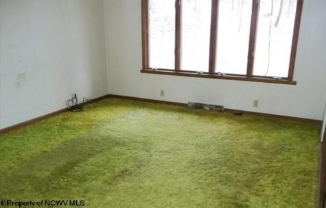 134 Turkey Run Road Grafton WV 26354-836
