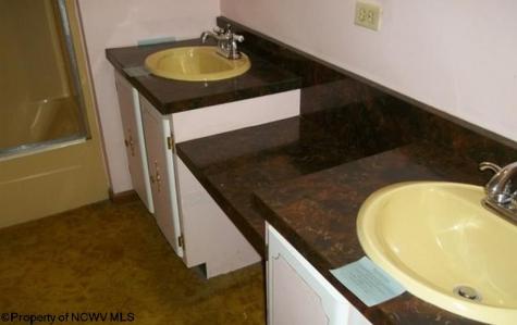 134 Turkey Run Road Grafton WV 26354-836