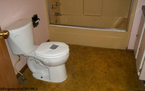 134 Turkey Run Road Grafton WV 26354-836