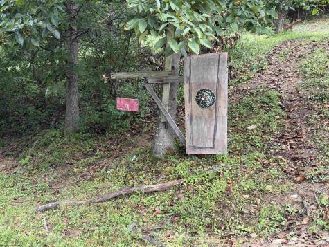 313 Pheasant Mountain Road Kerens WV 26283