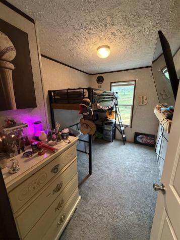313 Pheasant Mountain Road Kerens WV 26283