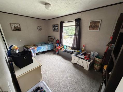 313 Pheasant Mountain Road Kerens WV 26283