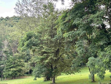 2253 Porterfield Road Philippi WV 26416
