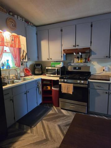 89 Snyder Road Harman WV 26270