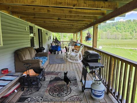 89 Snyder Road Harman WV 26270