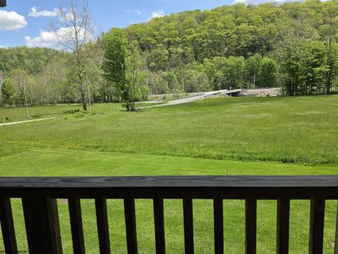 89 Snyder Road Harman WV 26270