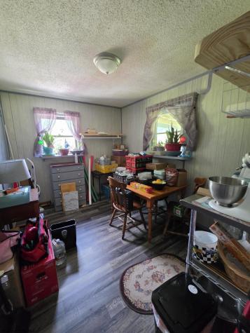 89 Snyder Road Harman WV 26270