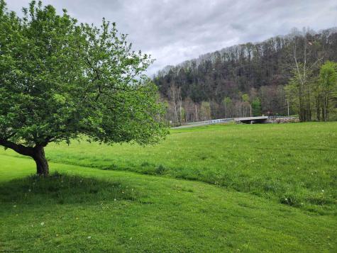 89 Snyder Road Harman WV 26270