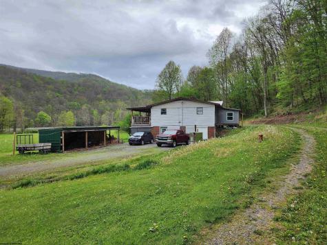 89 Snyder Road Harman WV 26270