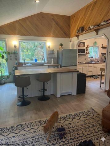 97 Indian Oaks Lane Belington WV 26250