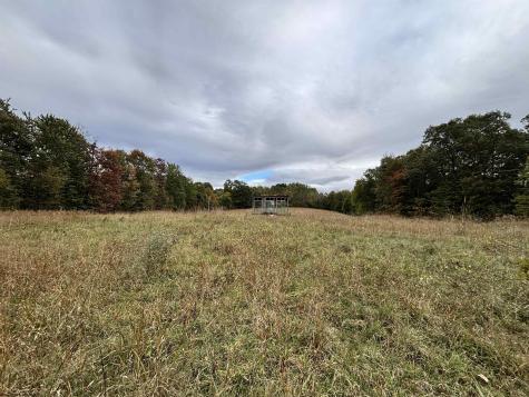 97 Indian Oaks Lane Belington WV 26250