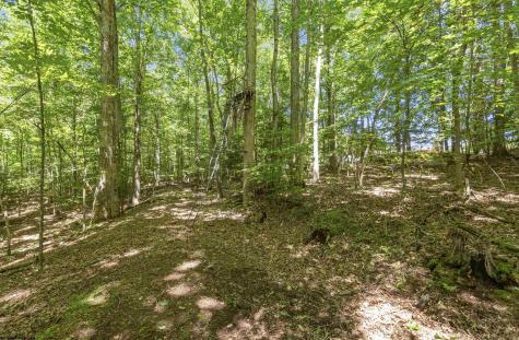 407 Wagon Wheel Road Huttonsville WV 26273