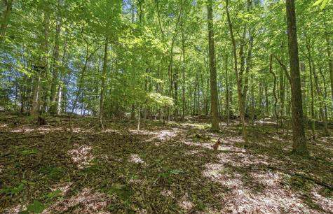 407 Wagon Wheel Road Huttonsville WV 26273