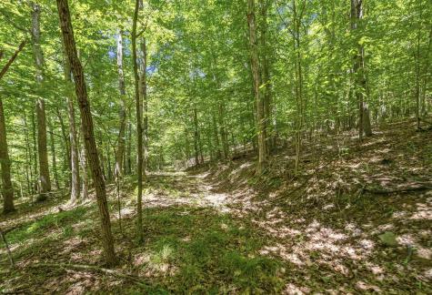 407 Wagon Wheel Road Huttonsville WV 26273