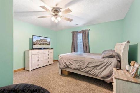 320 Thacker Lane Belington WV 26250
