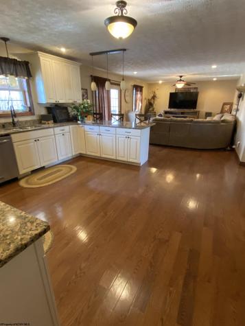 320 Thacker Lane Belington WV 26250