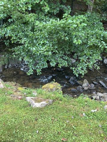 8106 Alton Road Adrian WV 26210