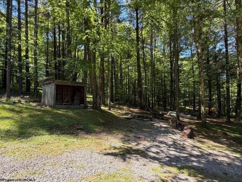 186 Whitetail Road Glady WV 26268