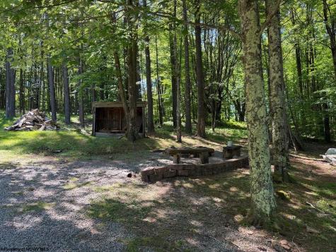 186 Whitetail Road Glady WV 26268
