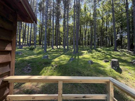 186 Whitetail Road Glady WV 26268