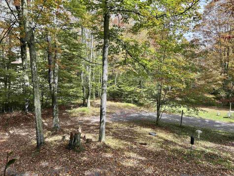 117 Hibernation Way Davis WV 26260