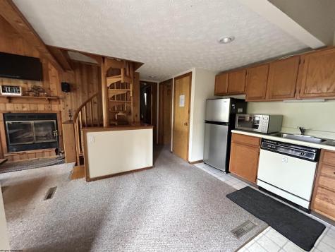 117 Hibernation Way Davis WV 26260