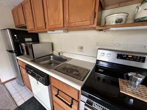 117 Hibernation Way Davis WV 26260