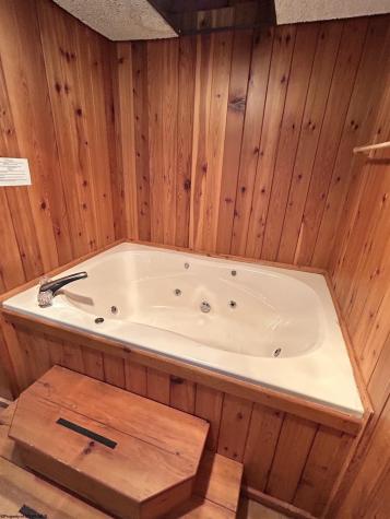 117 Hibernation Way Davis WV 26260