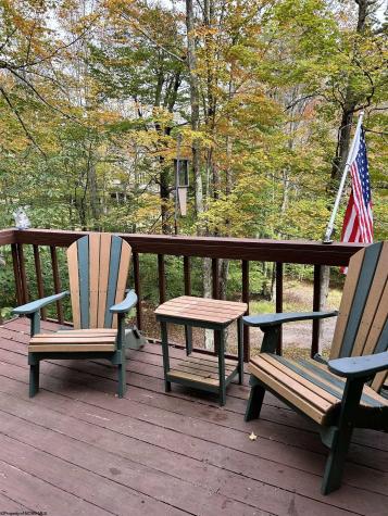 117 Hibernation Way Davis WV 26260