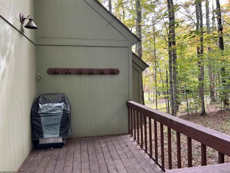 117 Hibernation Way Davis WV 26260