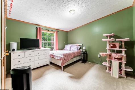 169 Shady Brook Estates Bruceton Mills WV 26525