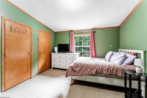 169 Shady Brook Estates Bruceton Mills WV 26525