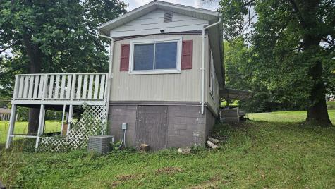 348 Brown Avenue Belington WV 26250-9203