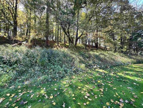 62 Maple Street Lost Creek WV 26385