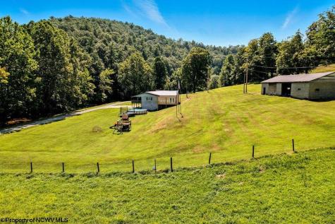 650 Sam Cavins Road West Union WV 26456